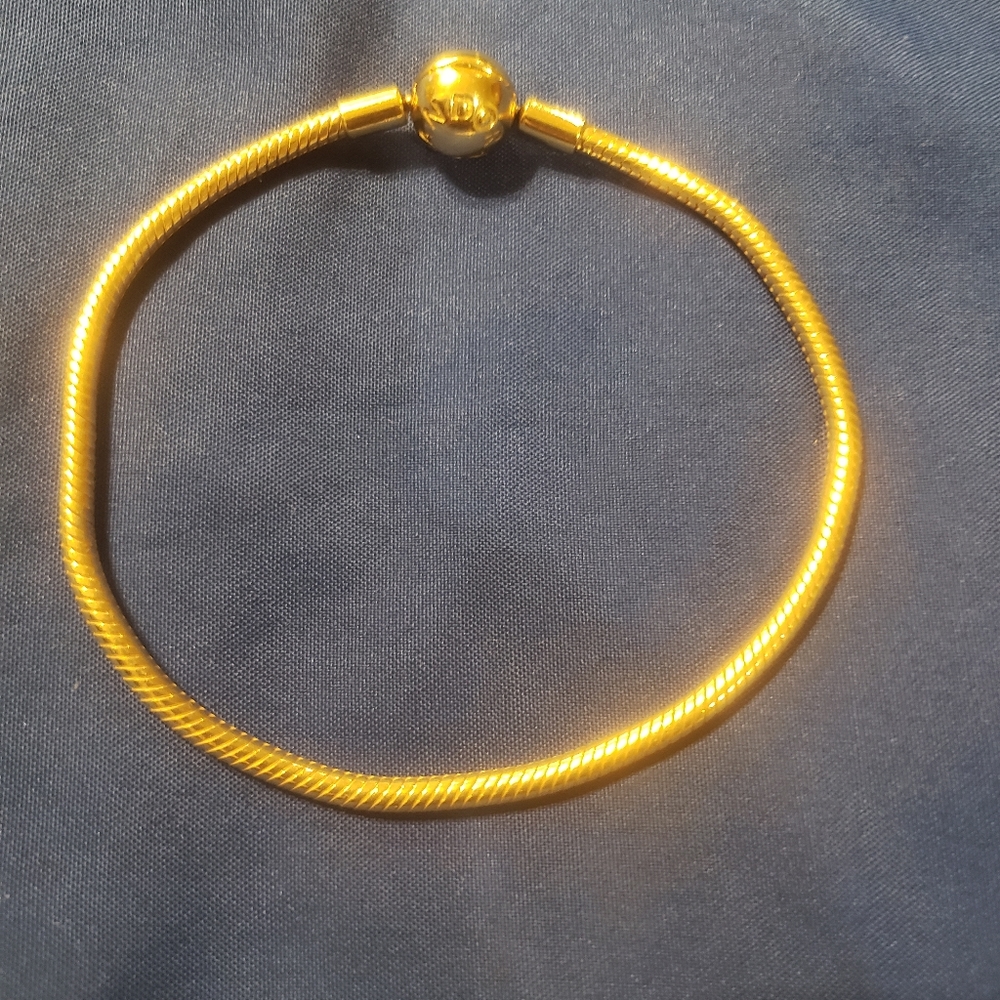 Pandora shine bracelet.